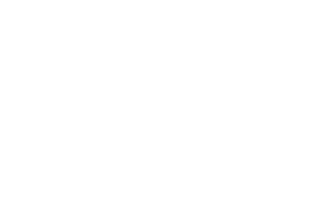Penguin random house logo white